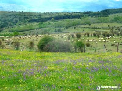 Peña Quemada-Ladera de Santuil; fuentona soria patones de arriba rutas parque de redes niveles